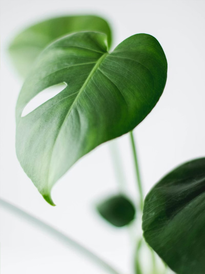 omgeving van psycholoog praktijk Amstelveen